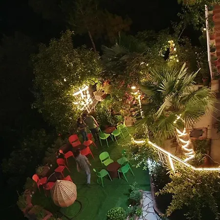 Wow Homestay I Kasauli Exterior photo